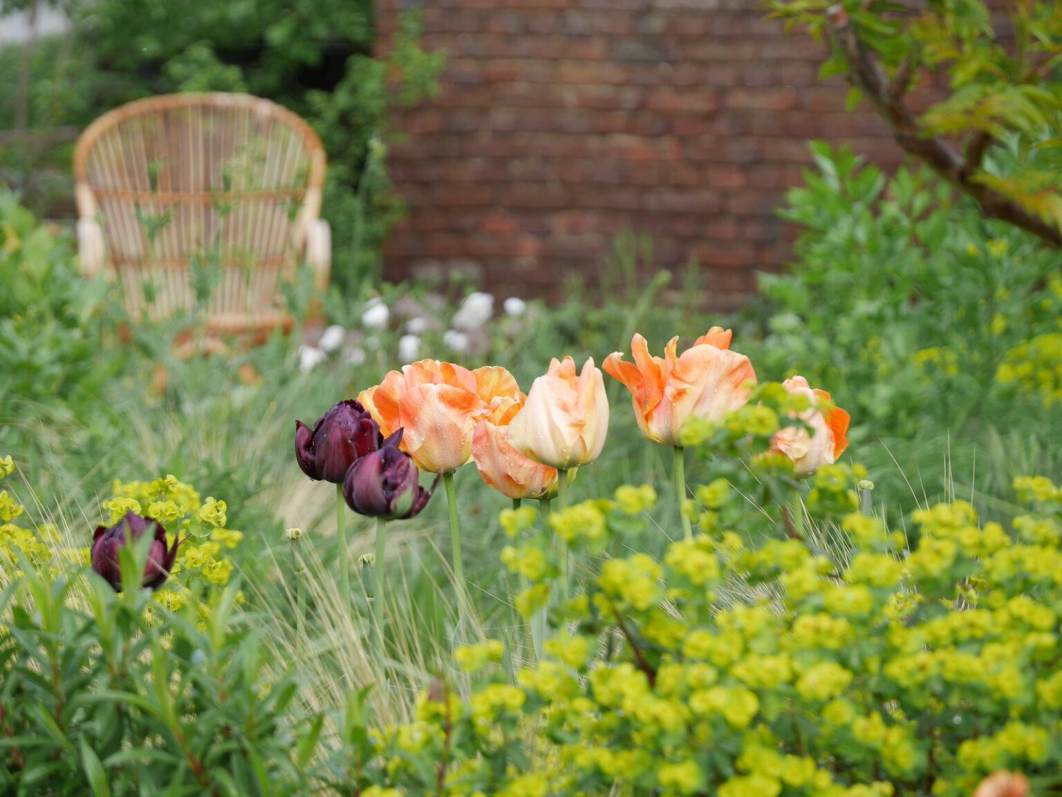 Tijdschrift De Tuin De Bloeimeesters